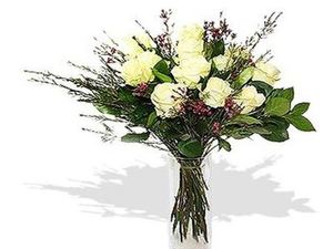 Drivu Dozen White Roses in Vase 