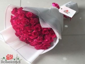 Drivu Pink Rose Bouquet