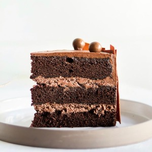 Drivu Chocolate Malt Cake Slice