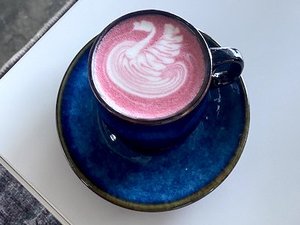 Drivu Pink Latte