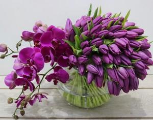 Drivu Falling Purple Tinted Tulips with Purple Orchid