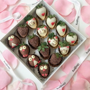 Drivu Penguin & Kitty Strawberries (16 pieces)