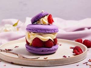 Drivu Violet Macaron