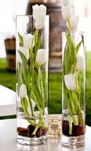 Drivu Tulips in Vases