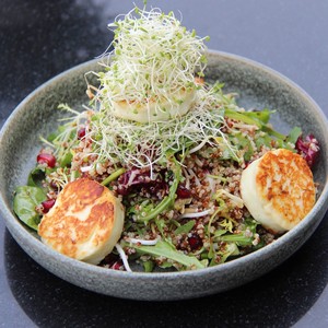 Drivu Quinoa & Grilled Halloumi Salad