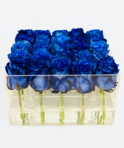Drivu Blue Roses Box