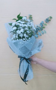 Drivu White Chrysanthemum
