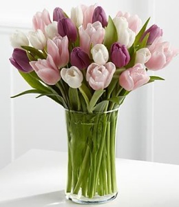 Drivu Mix Colors Vase
