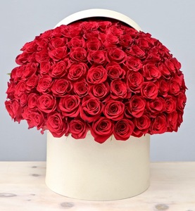 Drivu White Box with Rose Red