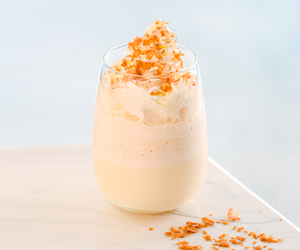 Drivu Vanilla Milkshake