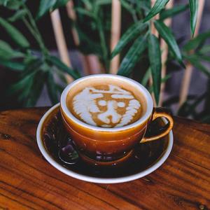 Drivu Hot Roots Latte