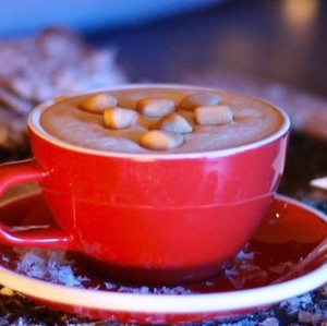 Drivu Winters Latte