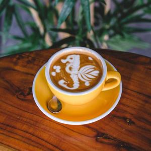 Drivu Cappuccino