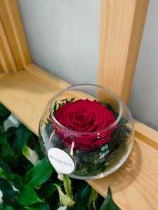 Drivu Infinity Red Rose 1 Stem