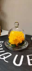 Drivu Yellow Infinity Rose
