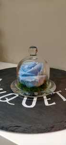Drivu Baby Blue Infinity Rose