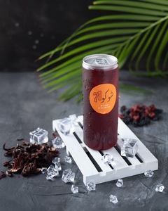 Drivu آيسد تي رد فروتس مع كركديه Red Fruits Iced Tea with Hibiscus