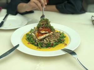 Drivu Singari Seabass