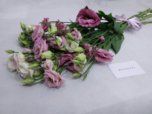 Drivu Pink Lisianthus Stems