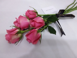 Drivu Pink Rose Stems