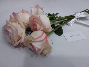 Drivu Ohara Rose Stems
