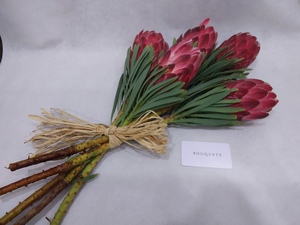 Drivu Red Protea Stems
