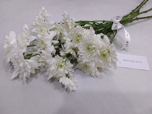 Drivu White Chrysanthemum Stems