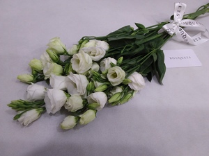 Drivu White Lisianthus Stems