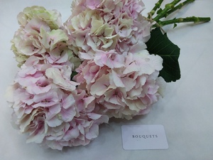 Drivu Baby Pink Hydrengia Stems