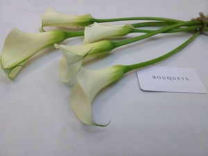 Drivu White Calla Lily Stems