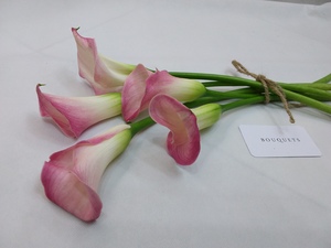 Drivu Pink Calla Lily Stems
