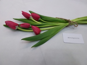 Drivu Red Tulips Stems