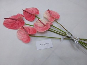 Drivu Pink Anthurium Stems