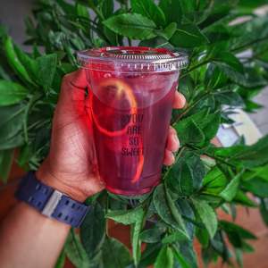 Drivu Hibiscus Ice Tea