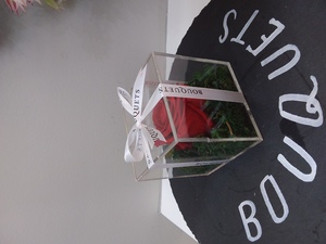 Drivu Red Infinity Rose In An Acrylic Box (1 Stem)