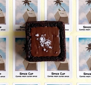 Drivu Brownie (1 piece)