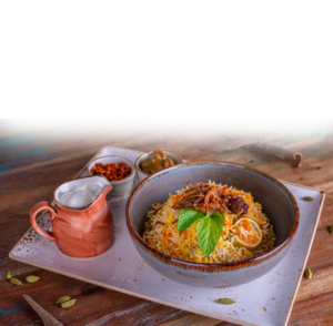 Drivu Free Mayan Chicken Biryani