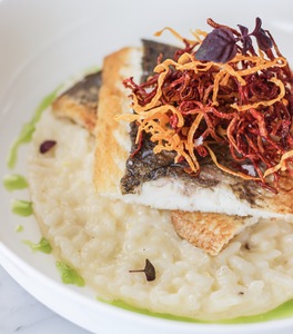 Drivu Lemon Risotto Seabass