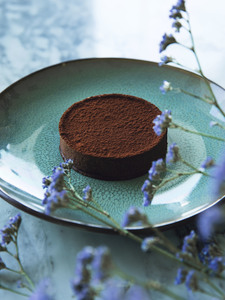 Drivu Chocolate Tart