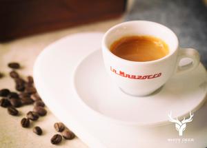 Drivu Espresso
