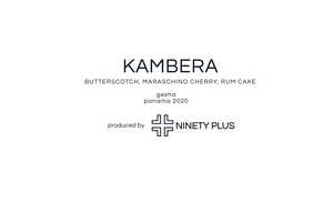 Drivu Panama Gesha Kambera by Ninety Plus 300g