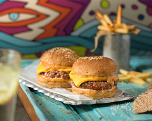 Drivu 2 x Diet Cheese Sliders