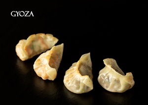 Drivu Vegetable Gyoza