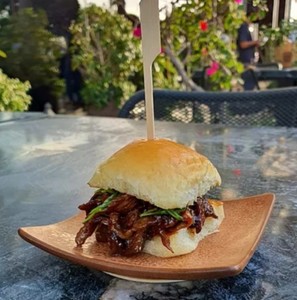 Drivu Pecking Duck (NEW)