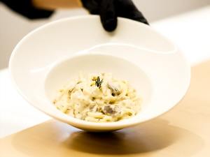 Drivu Chicken Pasta White Sauce
