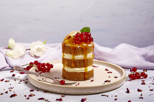 Drivu Coconut Mango Cake