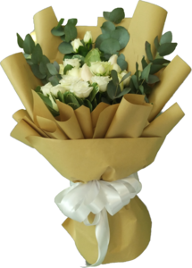 Drivu a lovely white