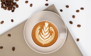 Drivu Hot Cappuccino 