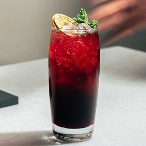Drivu Black Hibiscus