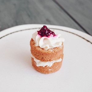 Drivu Mini Victoria Cake